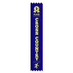 NYDA Cross Country Ribbon 1st