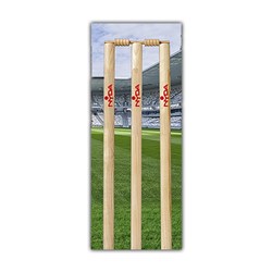 NYDA Cricket Stump Sticker