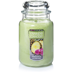 Yankee Classic Pineapple Cilantro Large Jar Candle