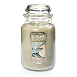 Yankee Classic Sage & Citrus Large Jar Candle