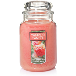 Yankee Classic Sun Drenched Apricot Rose Large Jar Candle