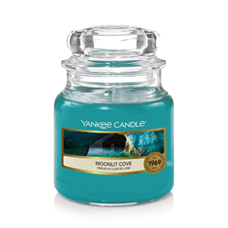 Yankee Classic Moonlit Cove Small Jar Candle