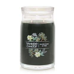 Yankee Signature Silver Sage & Pine Large Jar Candle