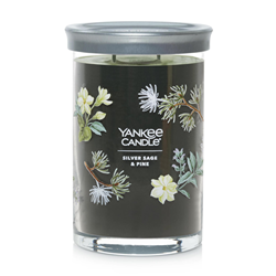 Yankee Signature Silver Sage & Pine Large Tumbler Candle