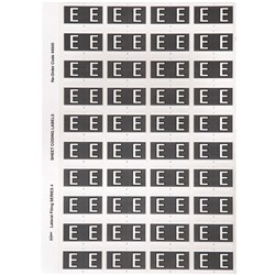 Avery Alphabet Coding Label E Side Tab 25x42mm Grey